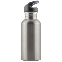 Gourde en Acier Inoxidabe 600 ml